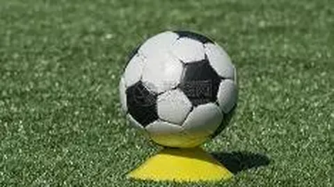 大乐透期号专家推荐：数据异常引市场热议