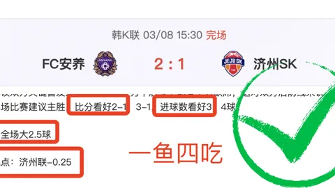 2025中国足球：张家胜、宋凯至周海滨、武磊的征途